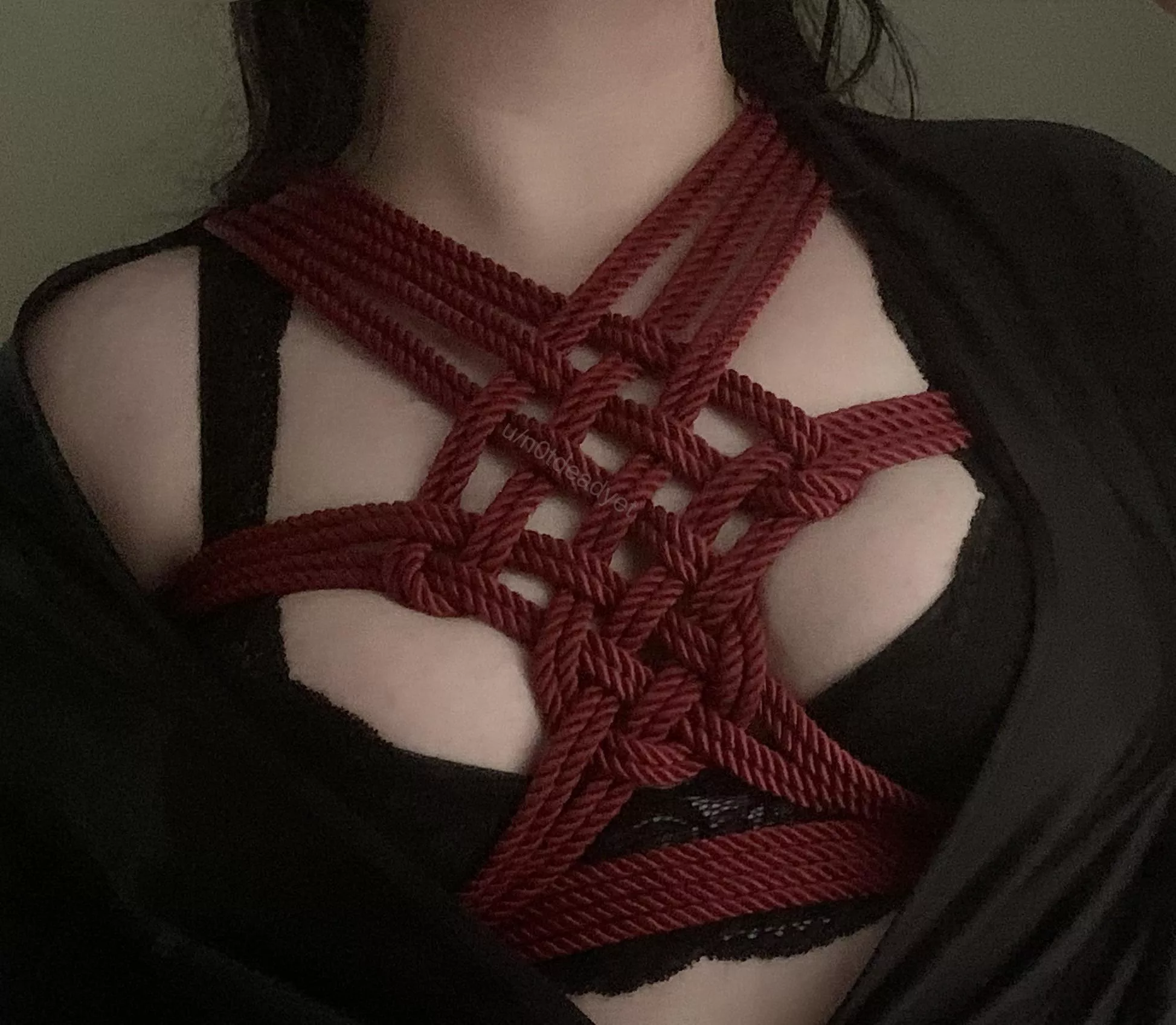 Just your local vampire unwinding after work posted by n0tdeadyet