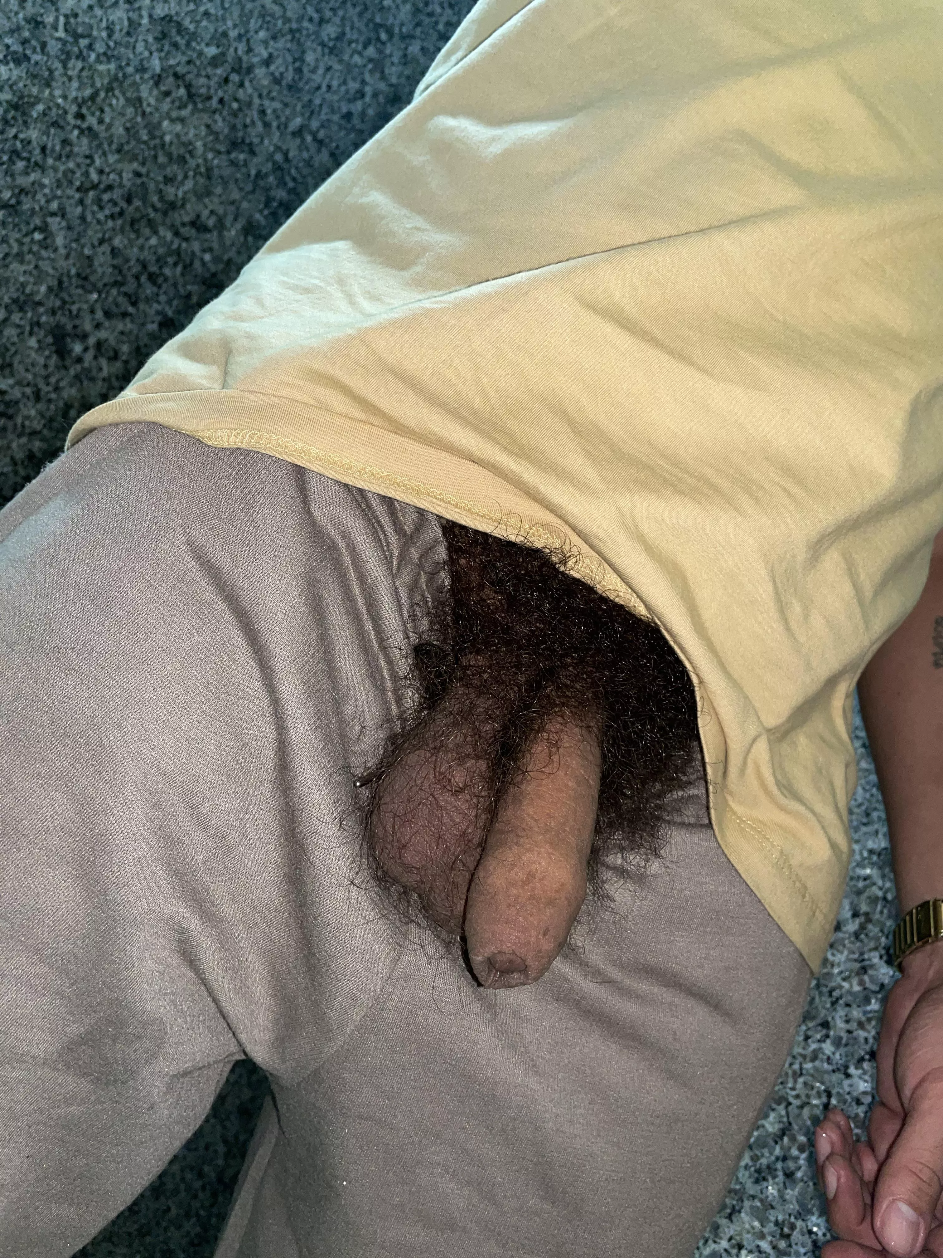 My dense bush posted by Western-Ad-7803