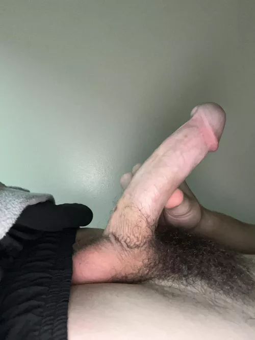 Should I shave the bush? by Jumper_mcmann