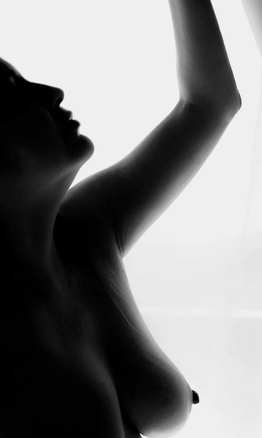 Silhouette posted by sweetjaneptbr