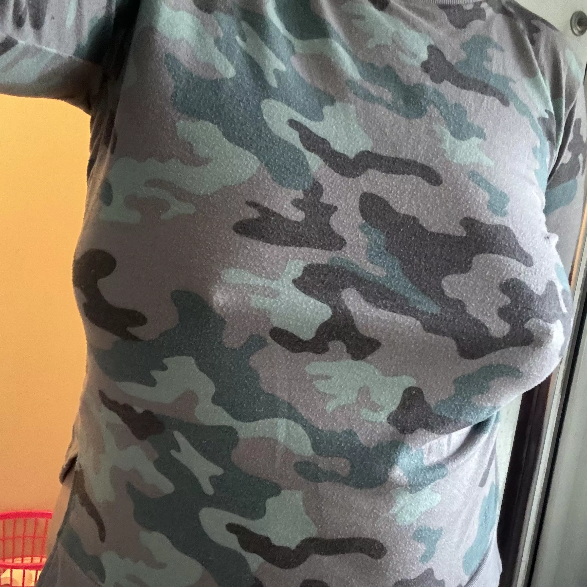 The camouflage cannot hide it posted by Frisky_Vanilla