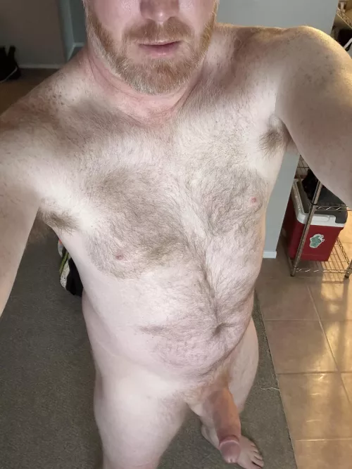 Well, it’s the weekend. Now what/who to do? by bearfedging