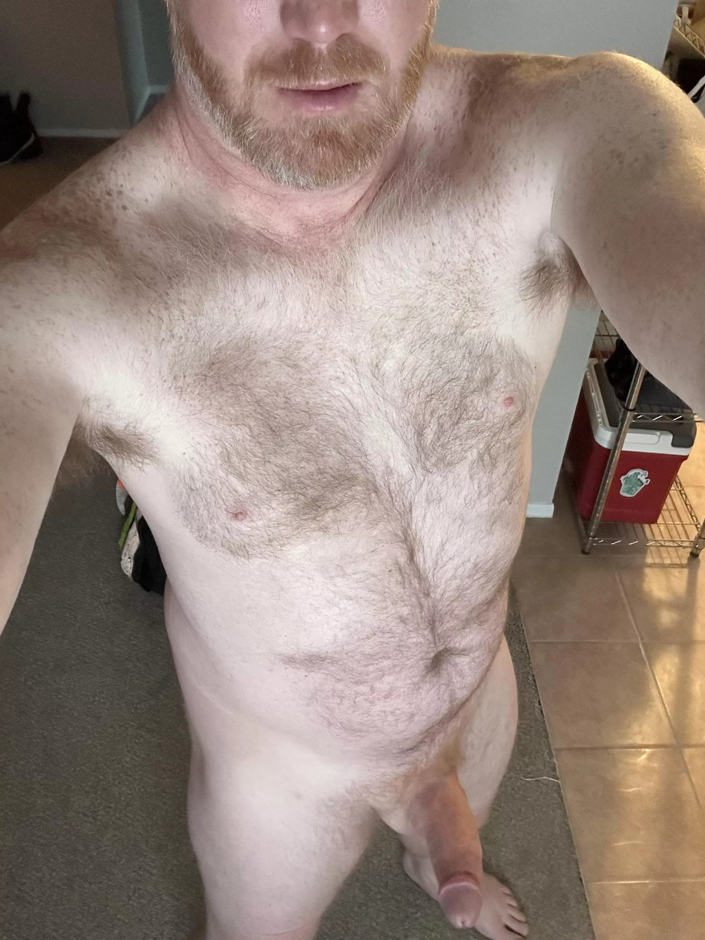 Well, it’s the weekend. Now what/who to do? posted by bearfedging