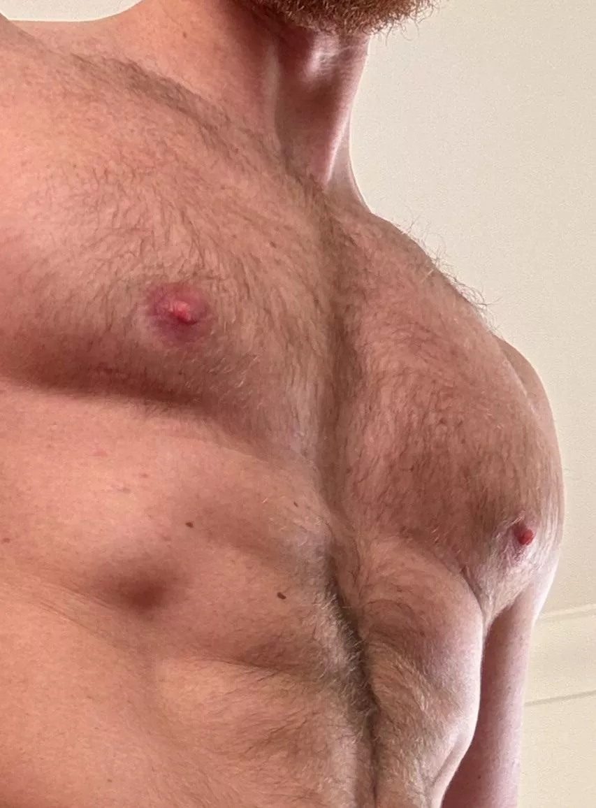 What do you want from your Fur Daddy Viking ? posted by Bearded_alpha1