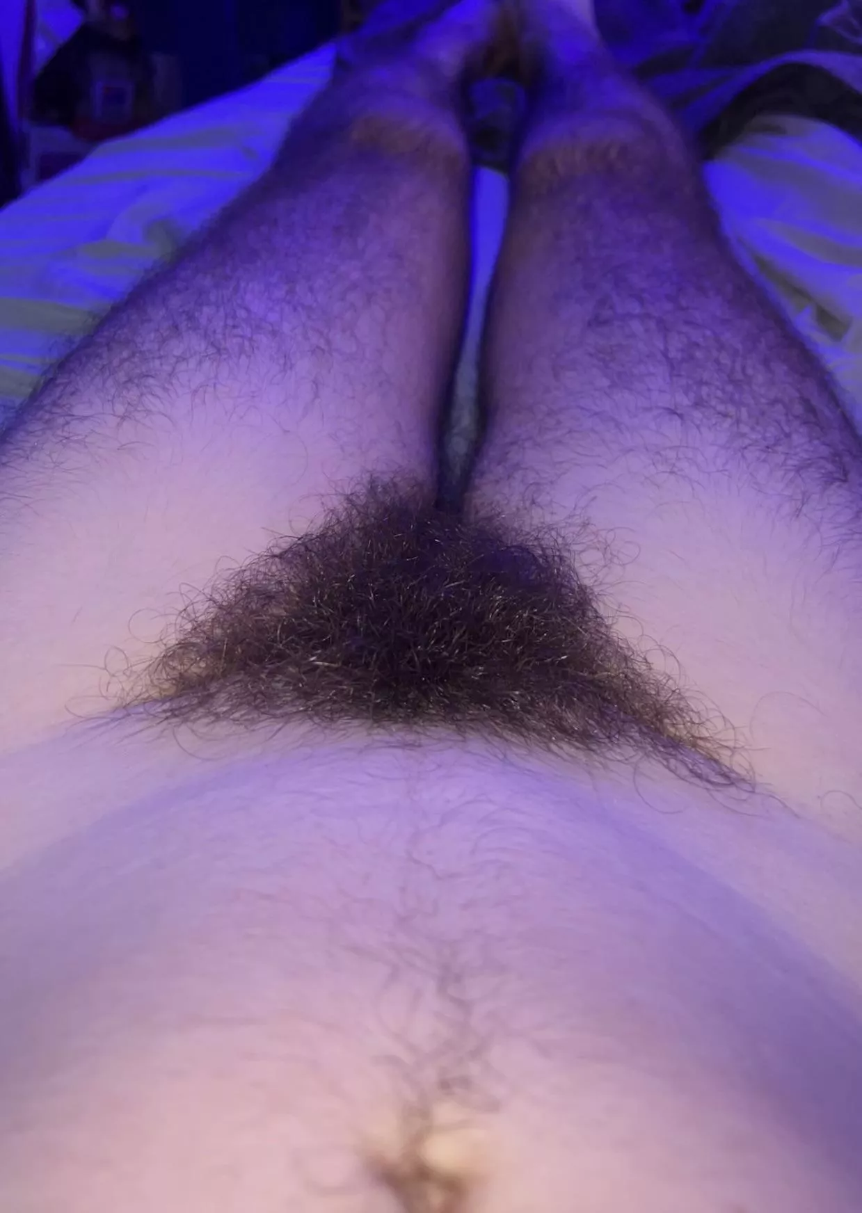 What’s hiding under the bush?  posted by trp8n08