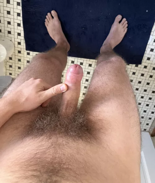 22 college guy, got my bush out in the morning sun today by average_pit_guy