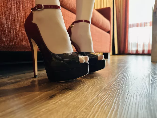 Are you a stockings and heels fan? by QueenAmante