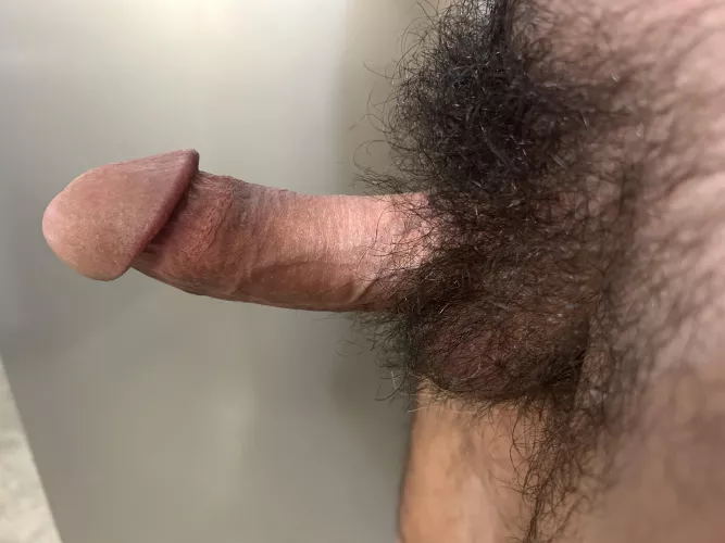 Bury your face in my bush by hairy_guy204