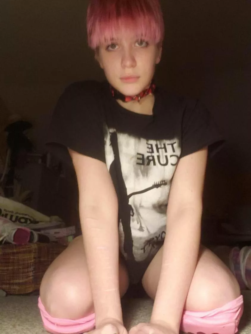 Do you like my collar? posted by magicalfairypup