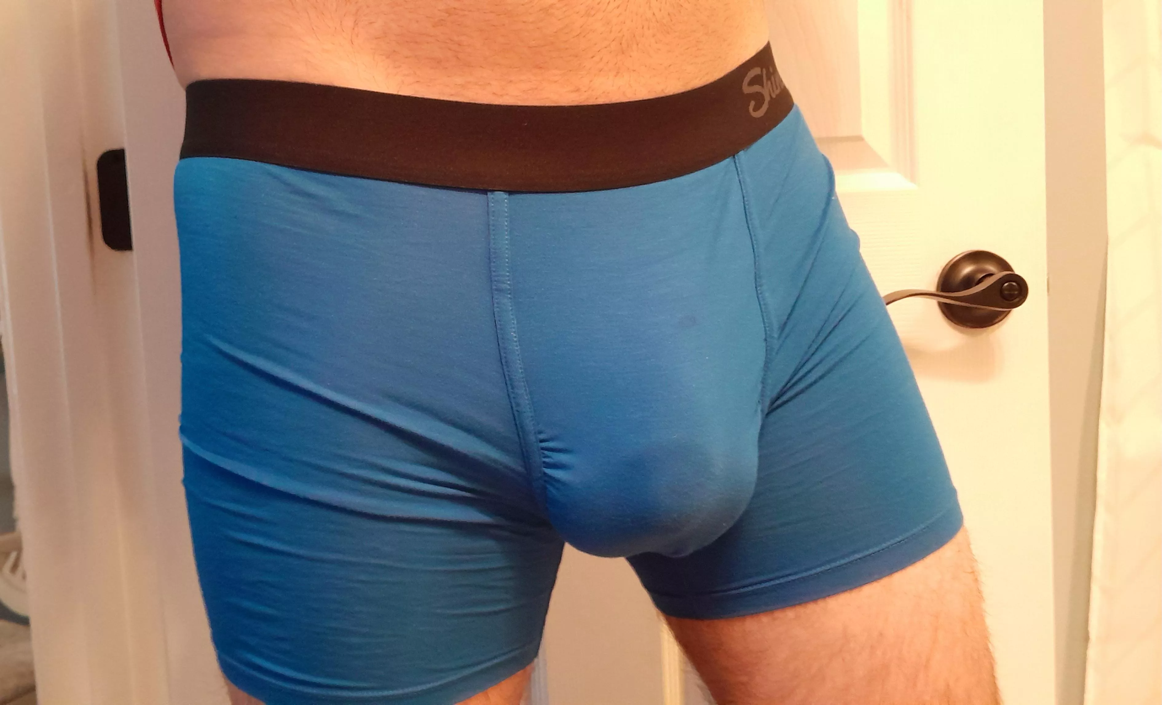 Filling out a new pair of boxer briefs. posted by PensiveStapler