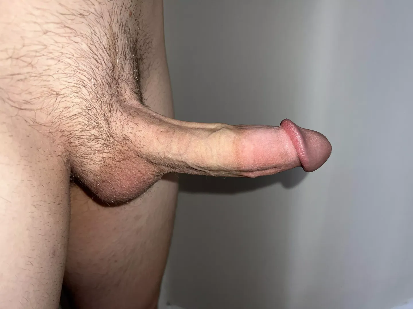 Had a photoshoot for my penis 🤤📸 by Proper_Range705