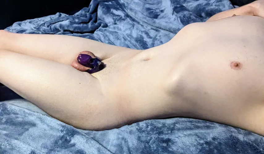 I can't believe I've lasted 6 days in my cage, do I deserve a break now? by NorthernxBorn