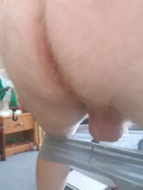 Just a bit of ginger fuzz by Fletche