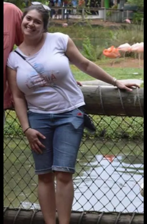 Lines and more by evolvingearth