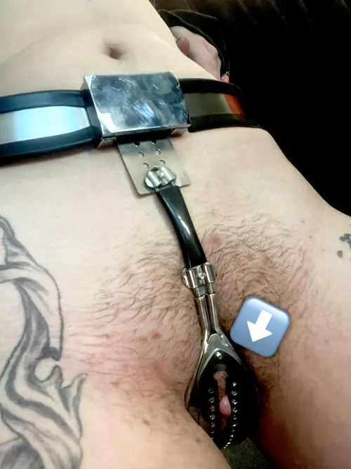 My clit straining against the belt! by Chastityslut4679