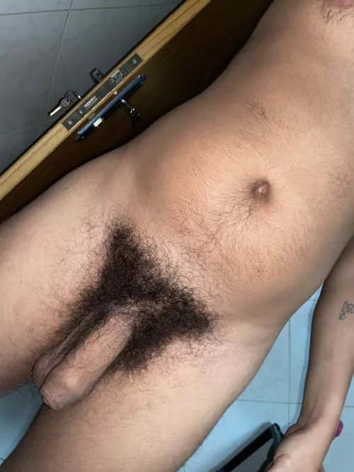 My cock and my sweaty bush by Western-Ad-7803