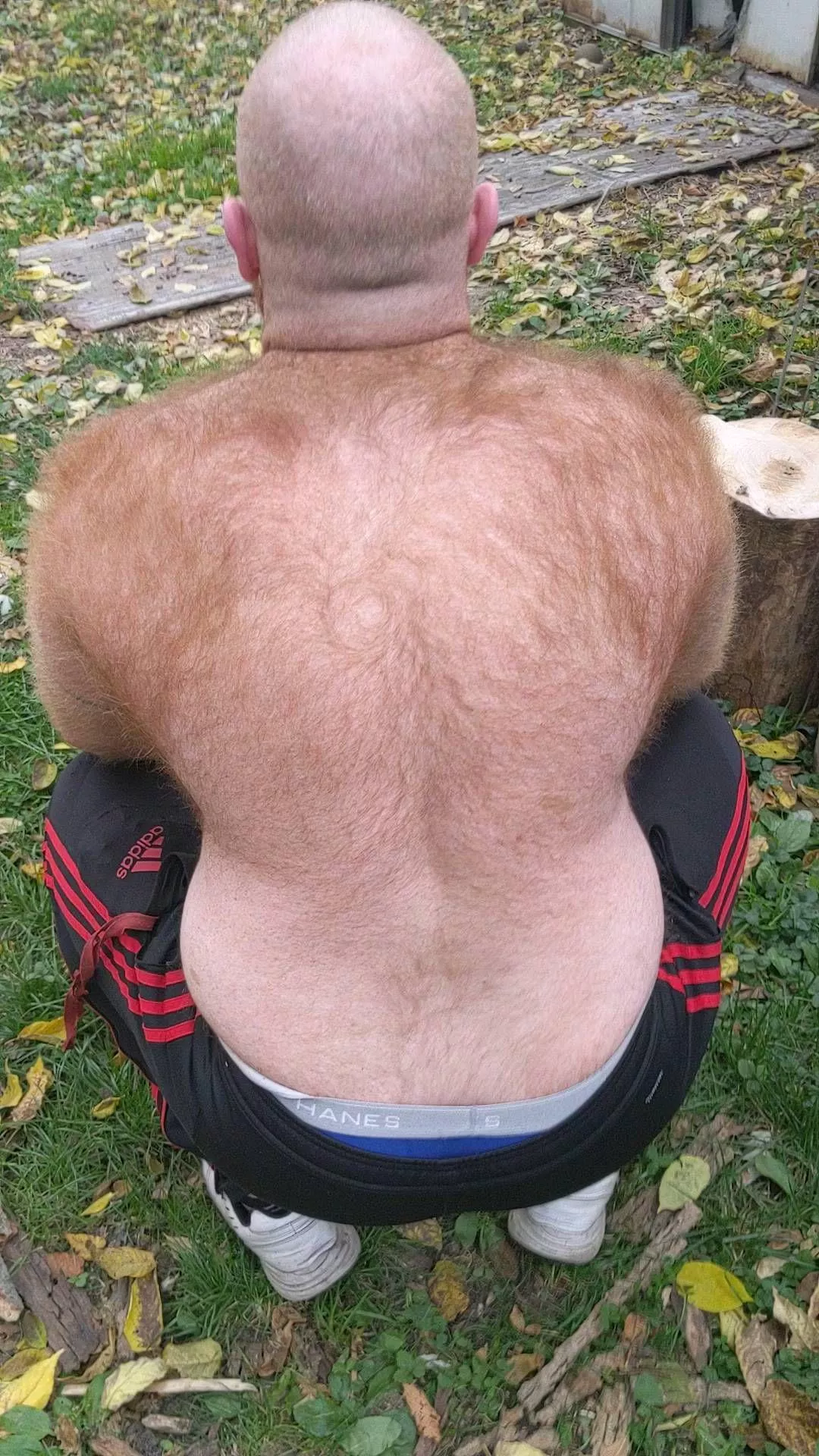 never tried to trim (is what it is, take it or leave it) posted by red_bush99