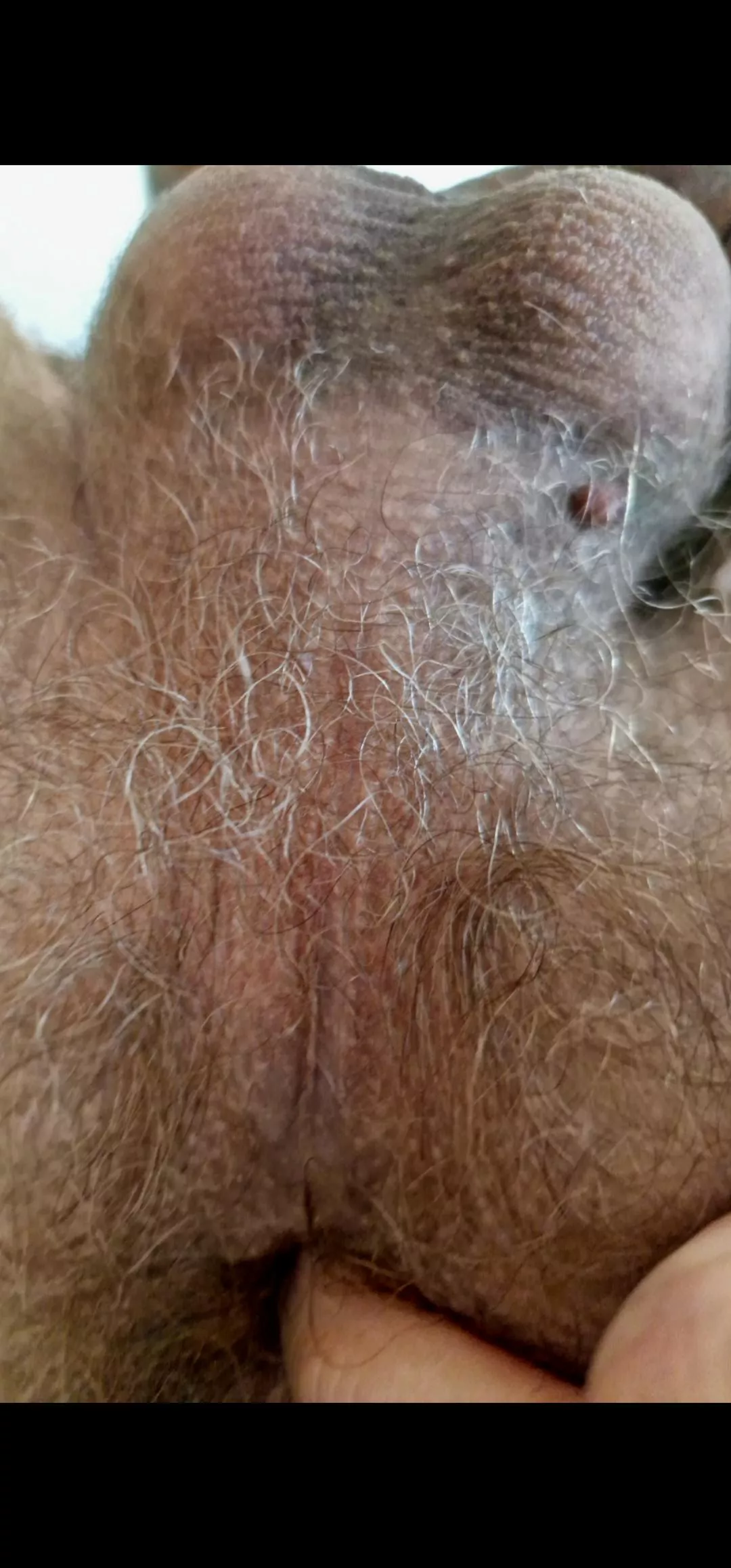 Not too much? posted by TomaszPL33