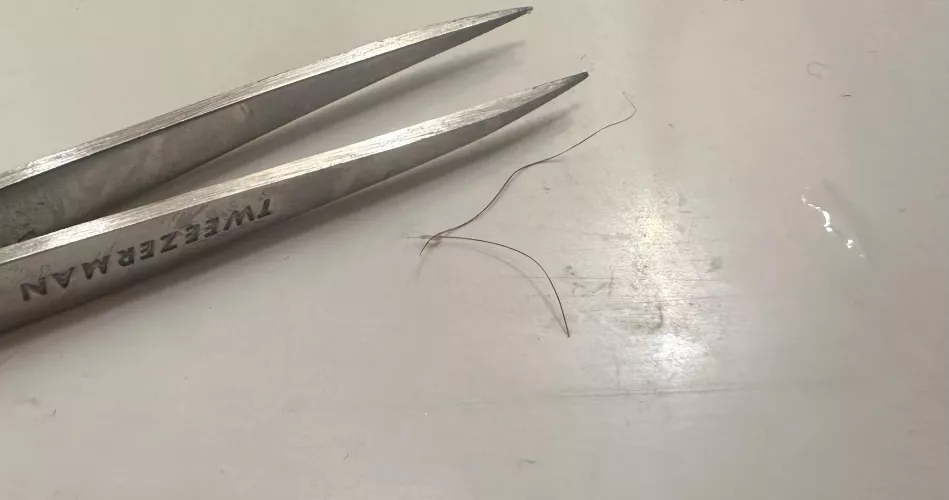 Noticed a pretty small bump on my leg and pulled out an ingrown hair ALMOST AN INCH LONG. by beelzeflub