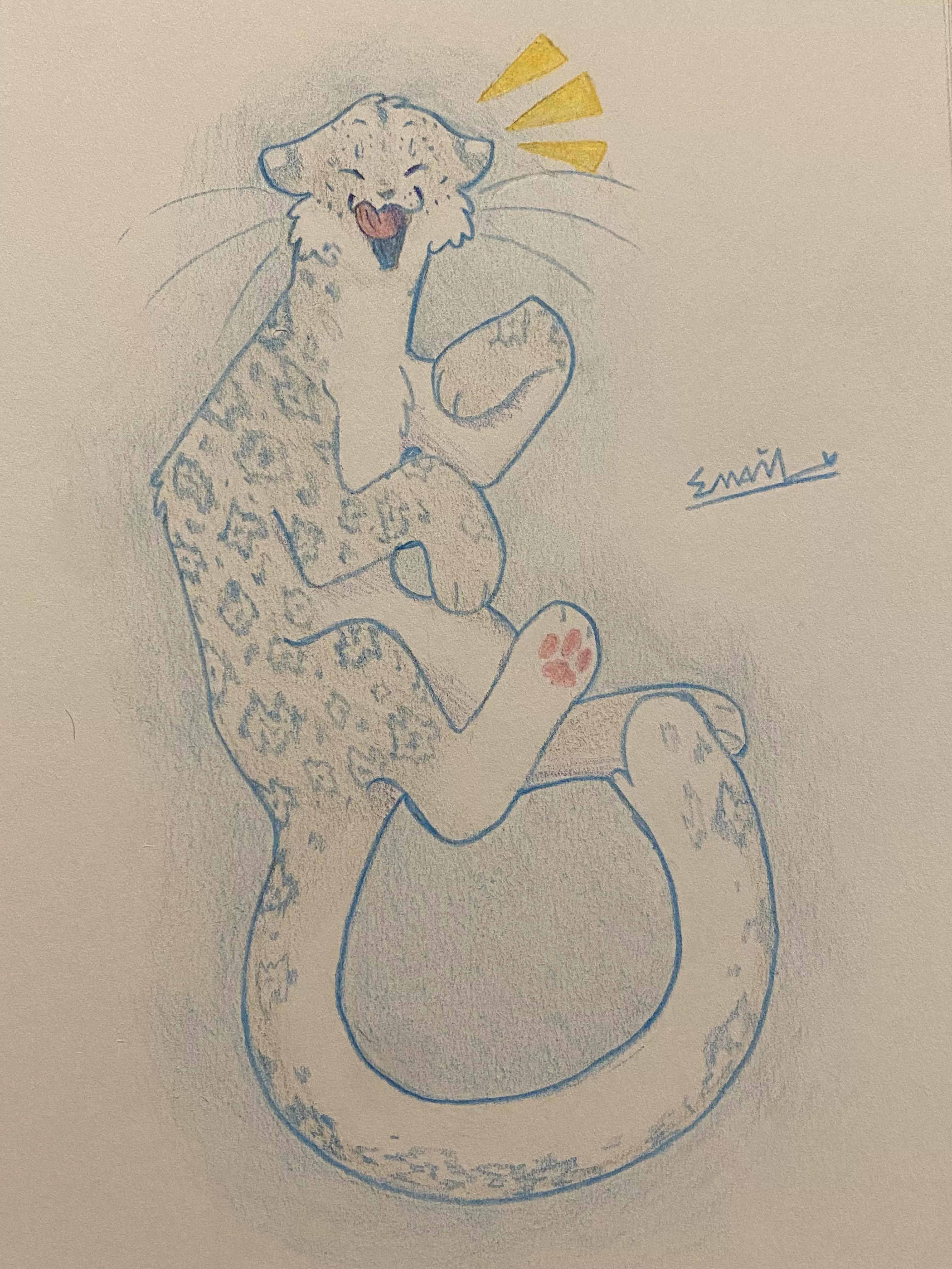 Snow leopard. posted by Alarming-Pea-3890