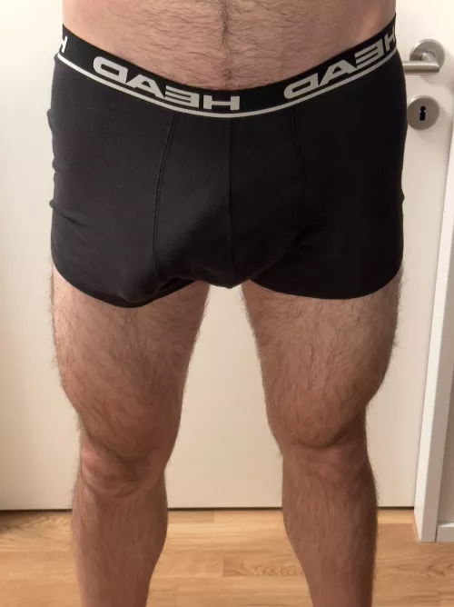 That thing wants to play  by CucumberTree5501