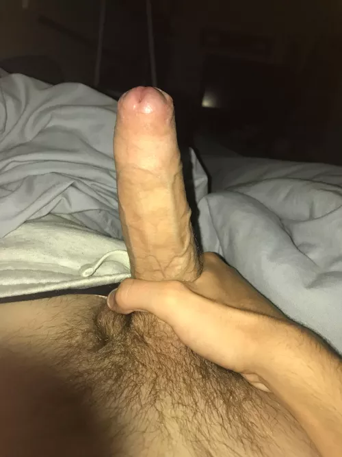 What you think of my 19 year old white cock? by Loose-Depth-4482