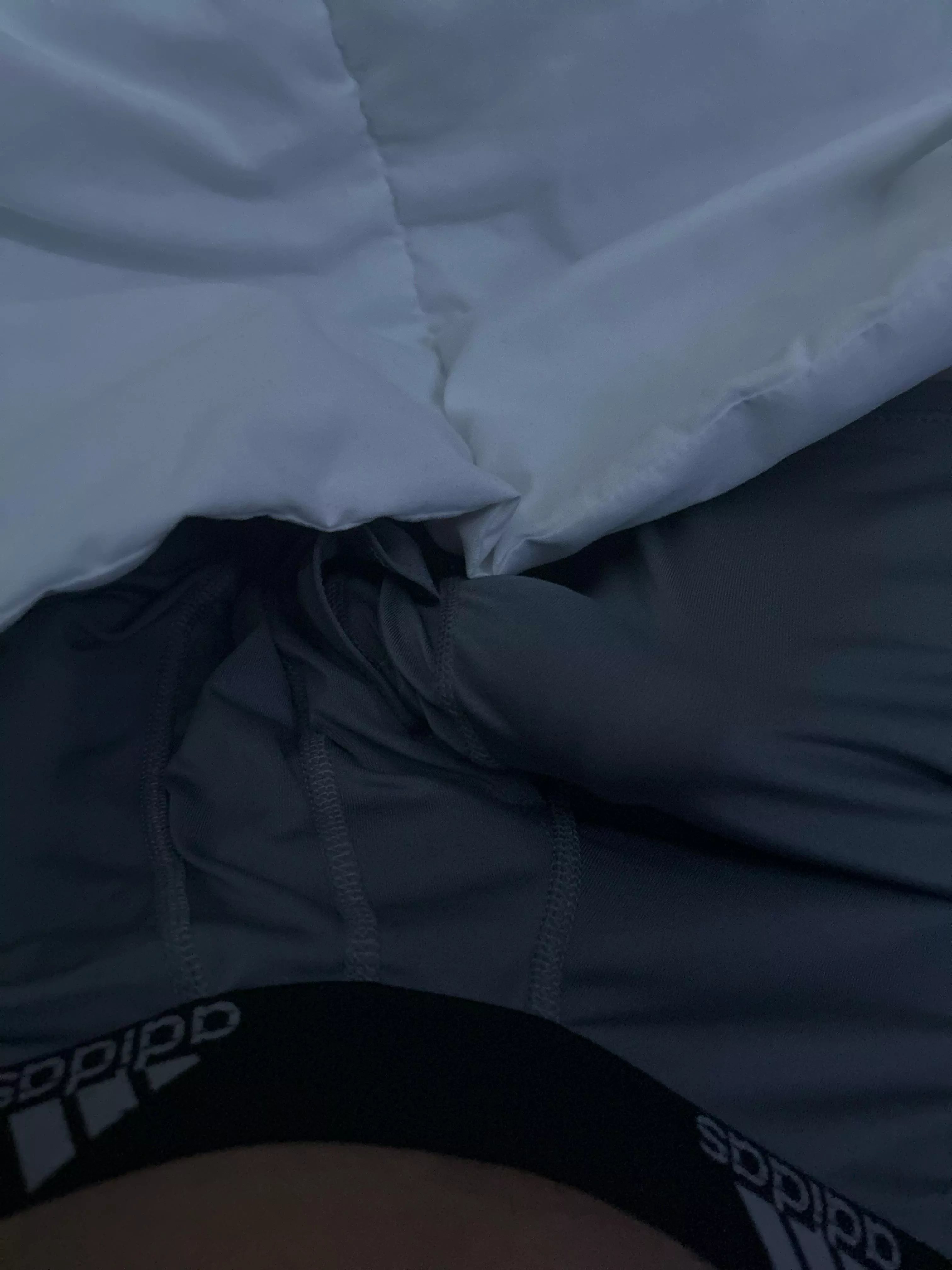 Who’s up rn that wants to jerk m18 🤫 posted by Few-Bodybuilder-9173