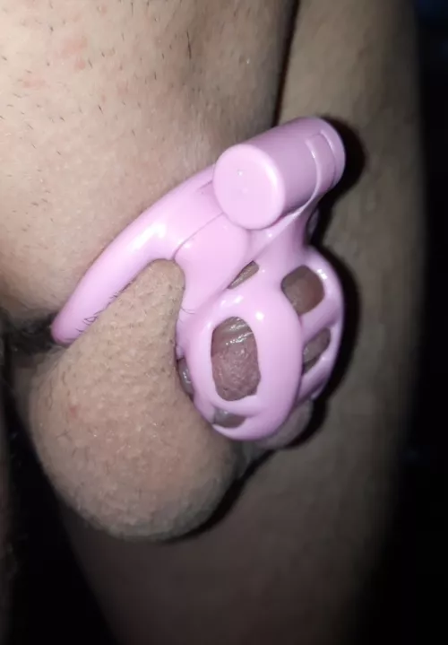 Would you let your best friend keep you locked 24/7 if that meant getting to worship her feet everyday?  by LockedObedience030