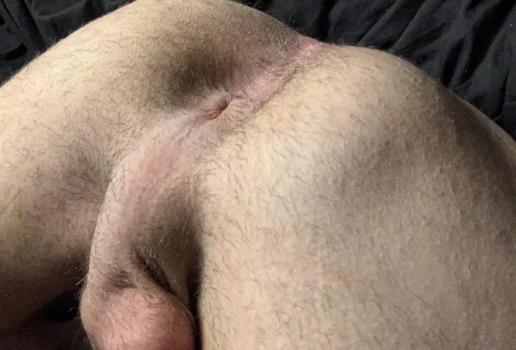 Would you plow me bareback?? by Beginning_Cry4907