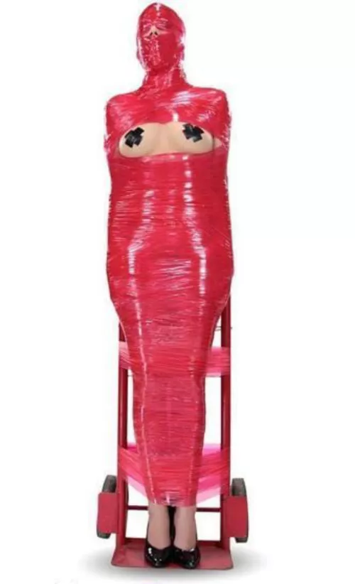 Wrapped and ready for dispatch  by Dead-Queen13