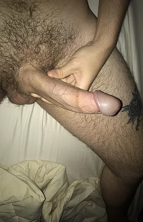 Your reaction when I send you this? by Own-Sherbert5538