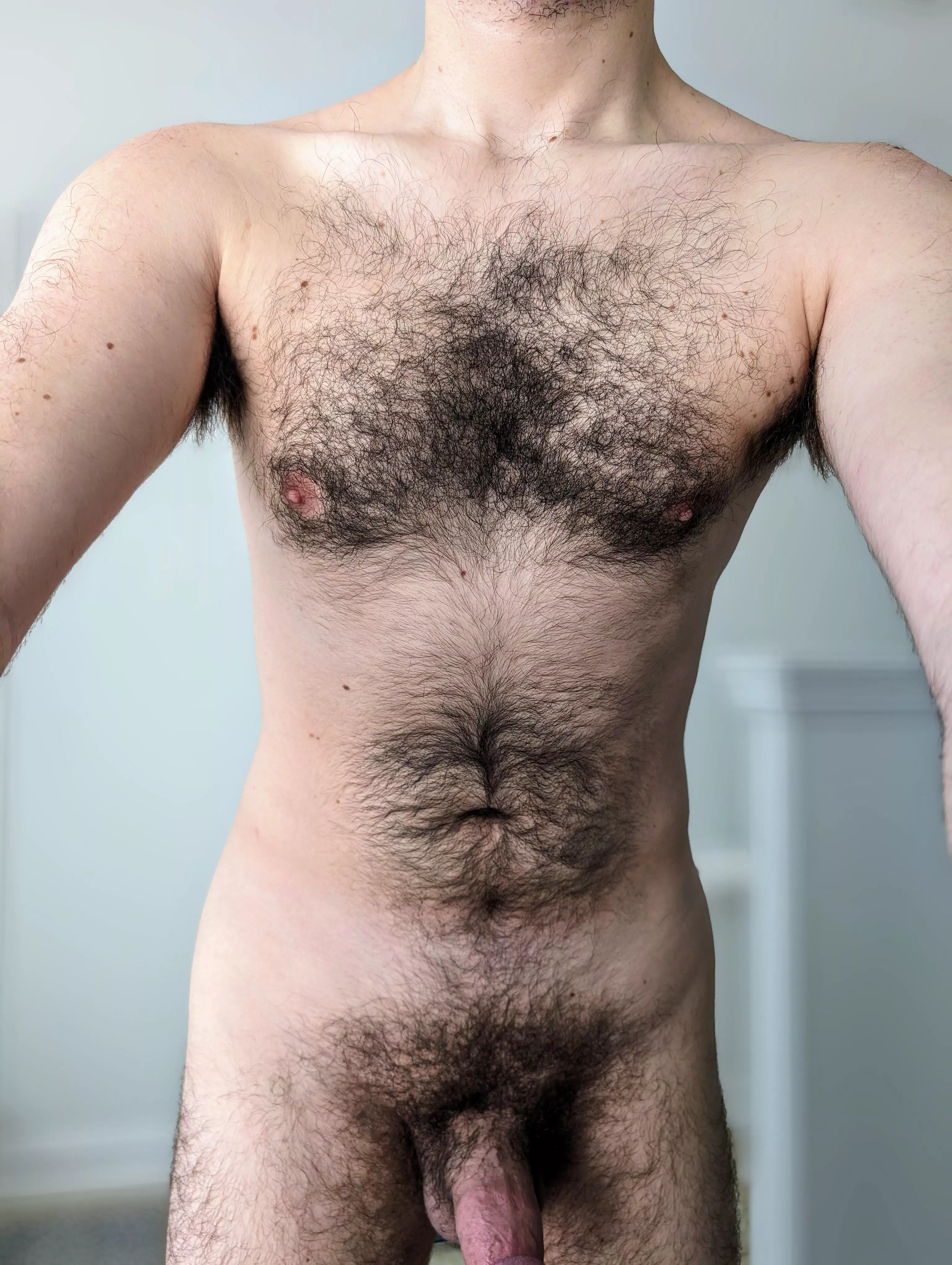 (31) I decided to snap a picture of my hairy chest before I took a shower this morning posted by Rod-Hard7