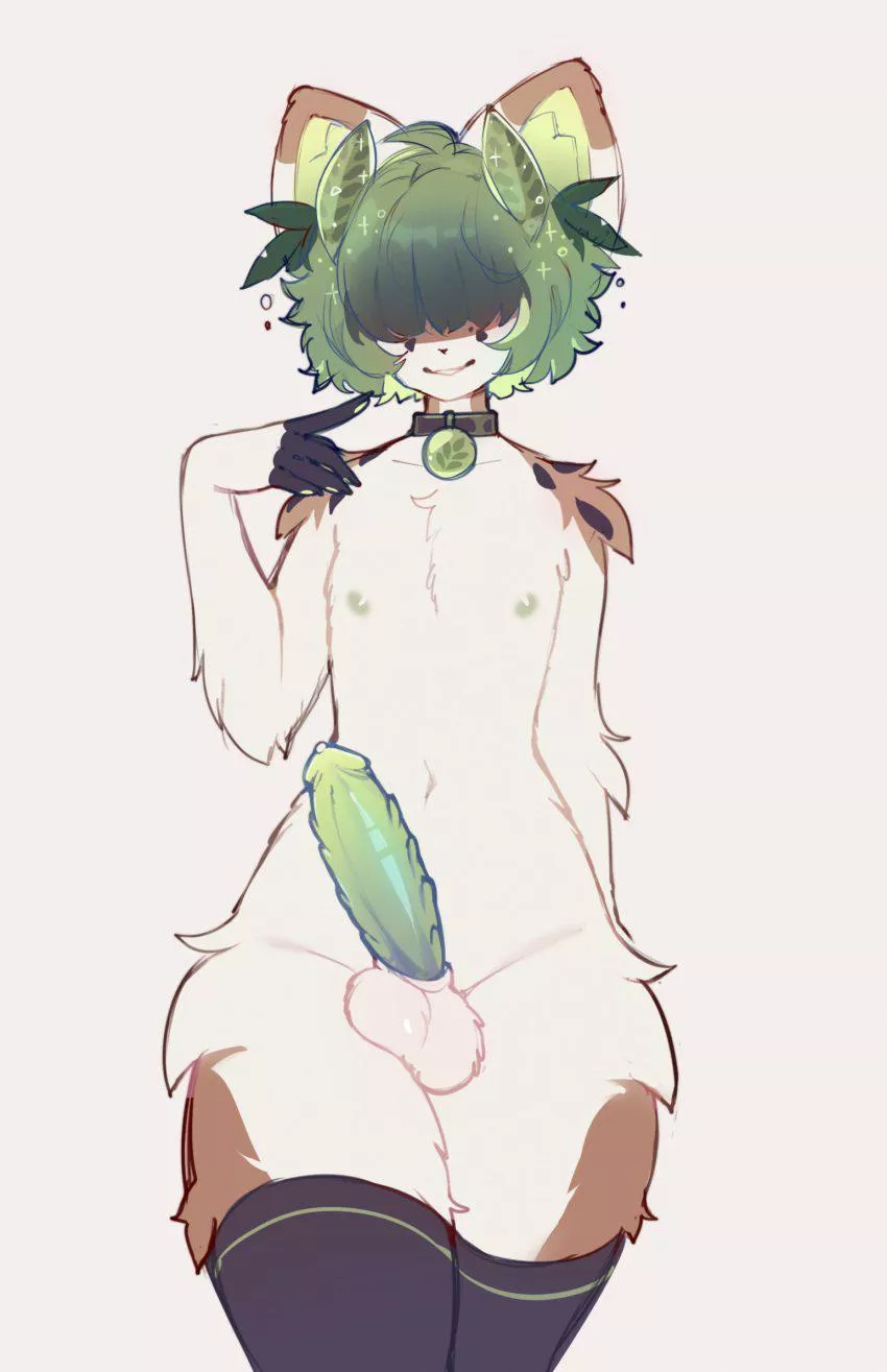 Cutie cat. (Hornyorangemoi) posted by justacutie04