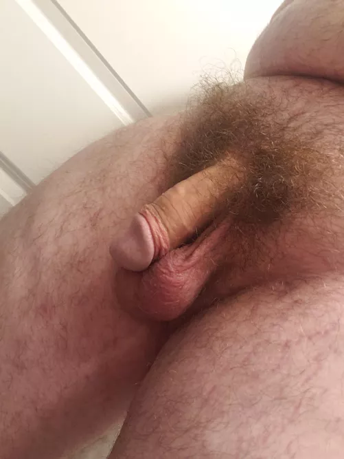 Do I have a nice softie? Never posted a picture of it soft before so I'm self concious 😅 by 54_Styx