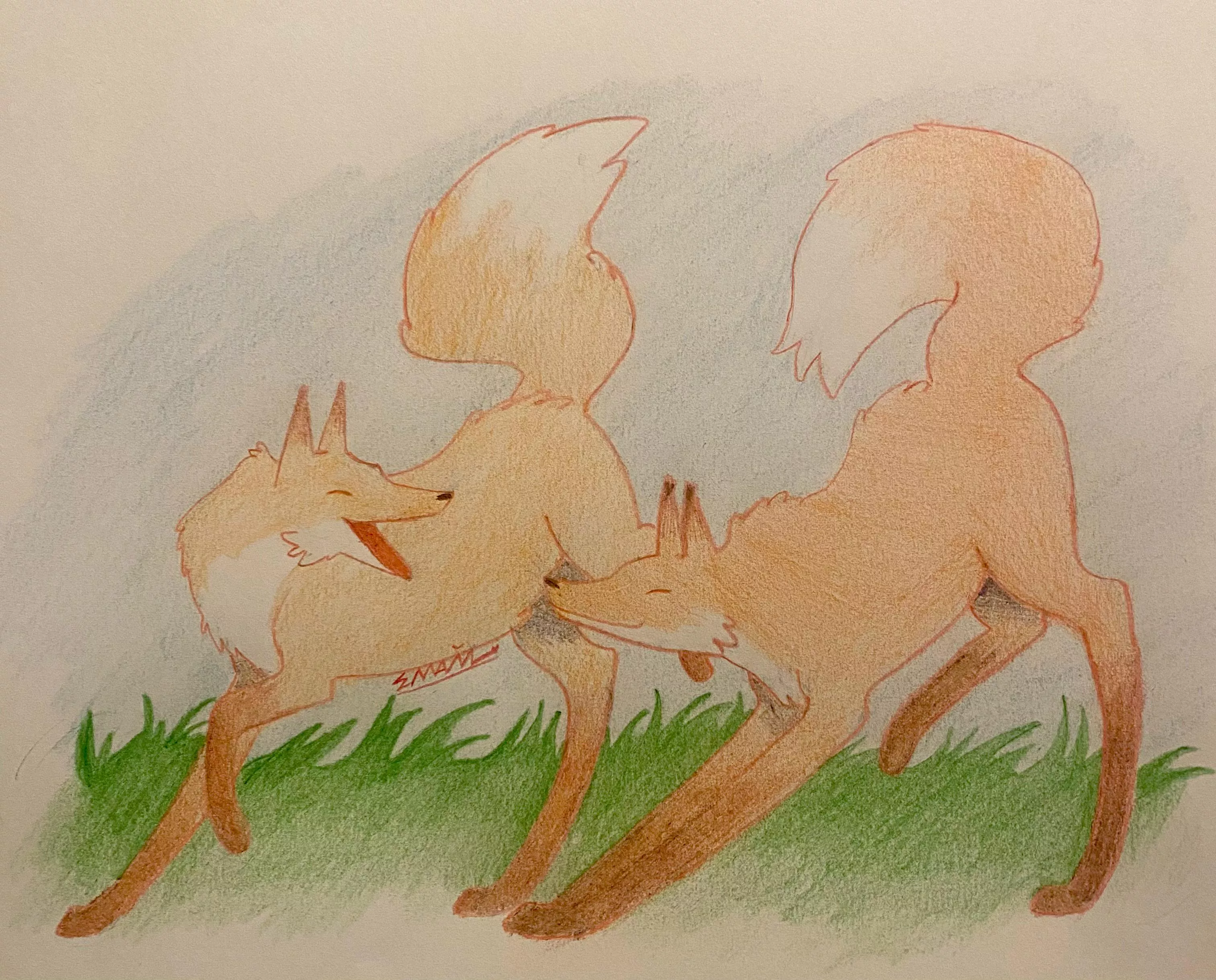 Fox posted by Alarming-Pea-3890