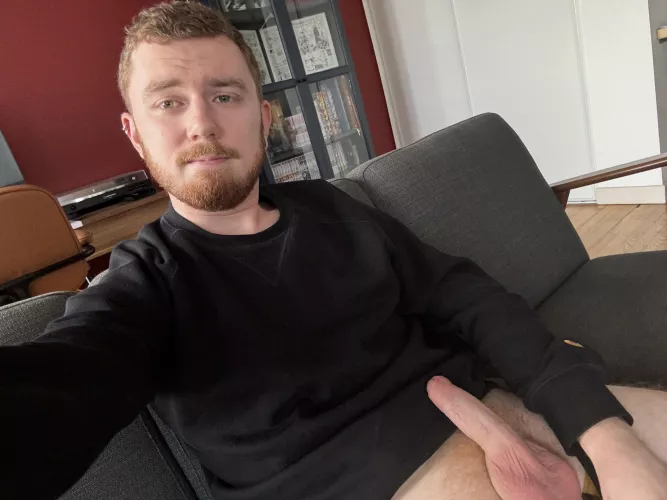 Frenchie here ☺️ by Strunkinator