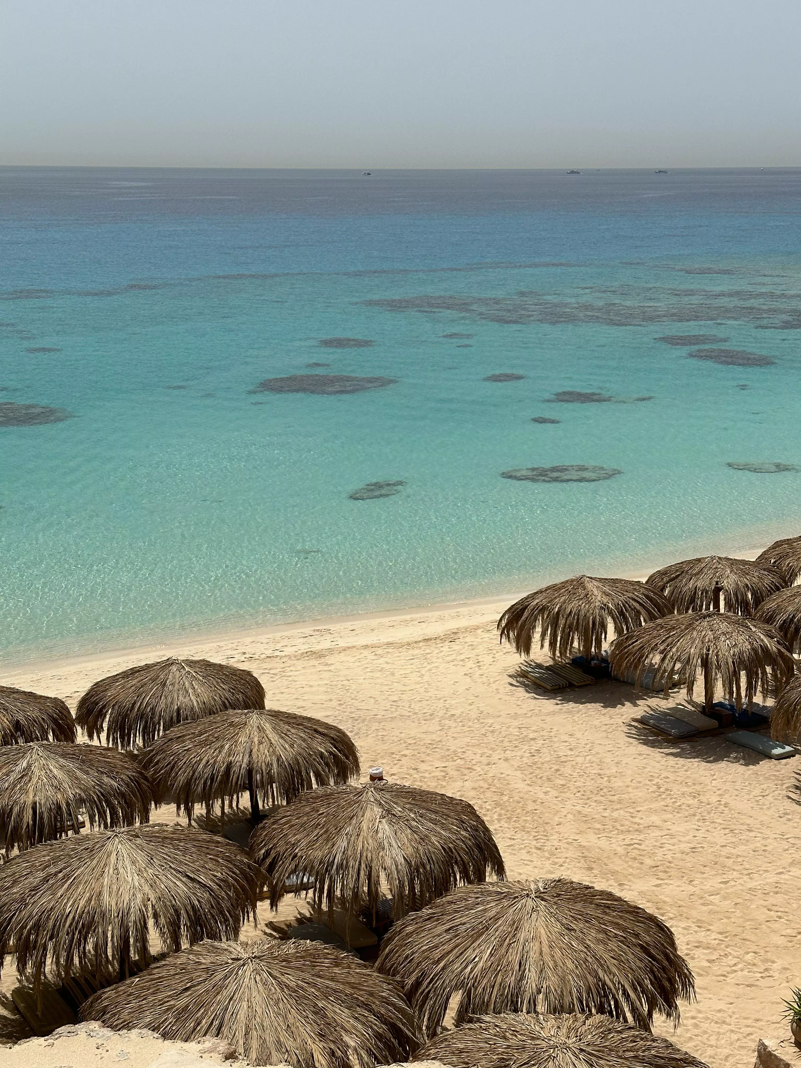 Giftun Island, Egypt - Crystal Clear Water & Golden Beach ✨ posted by SpaceTraveller29