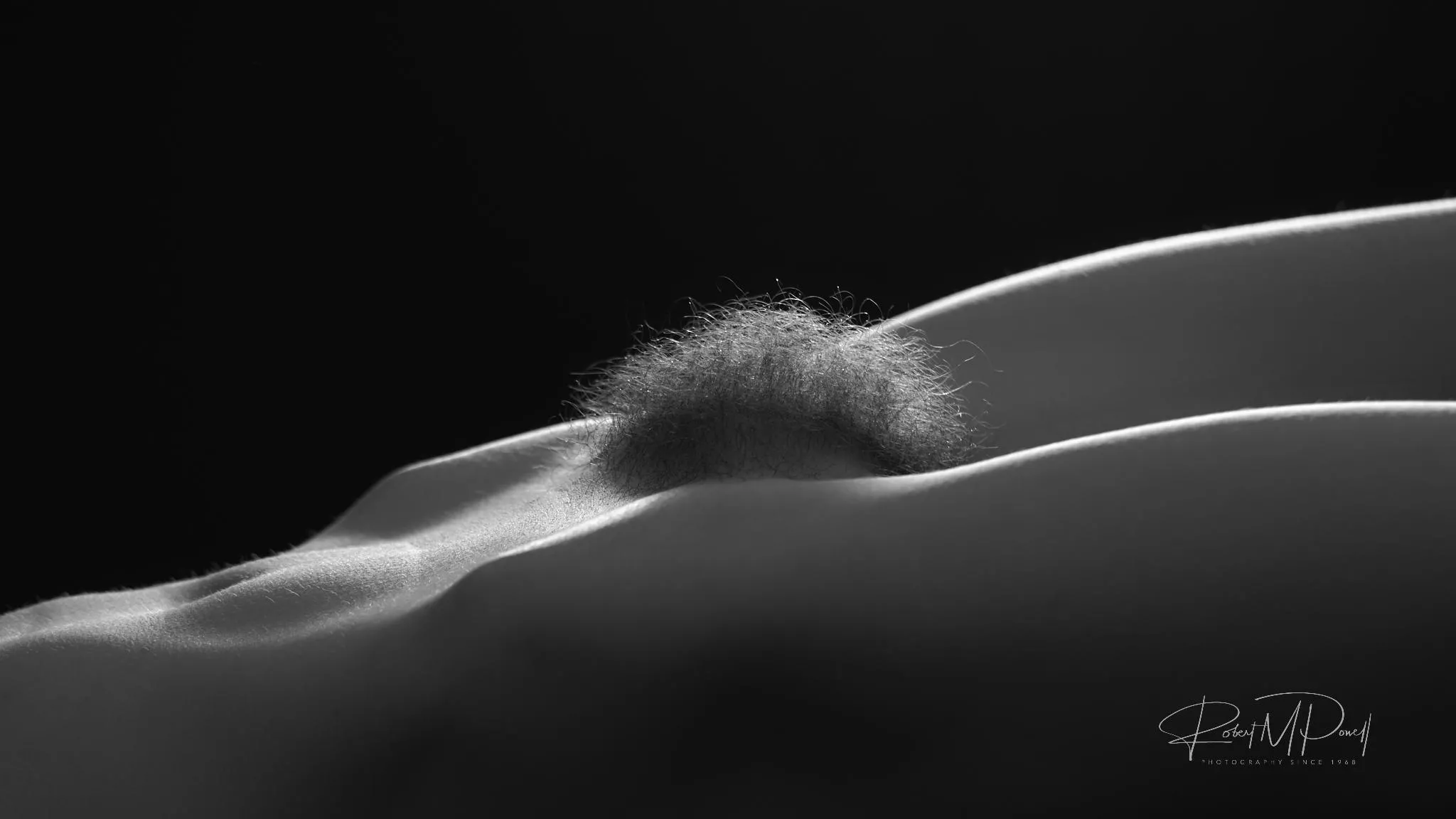 Happy Sunday! 36F posted by SortaRicanJen