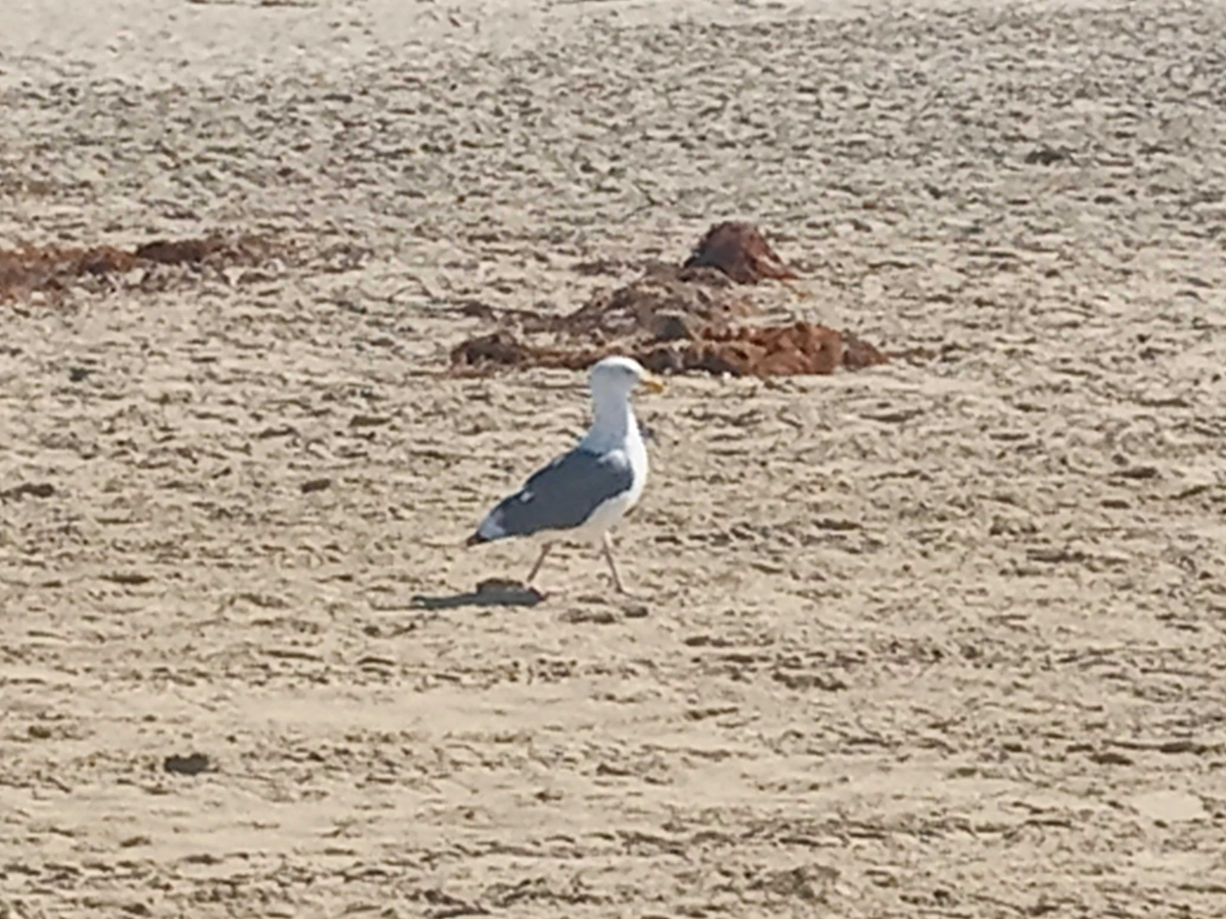 I got the place all to myself! posted by AlwaysCurious58