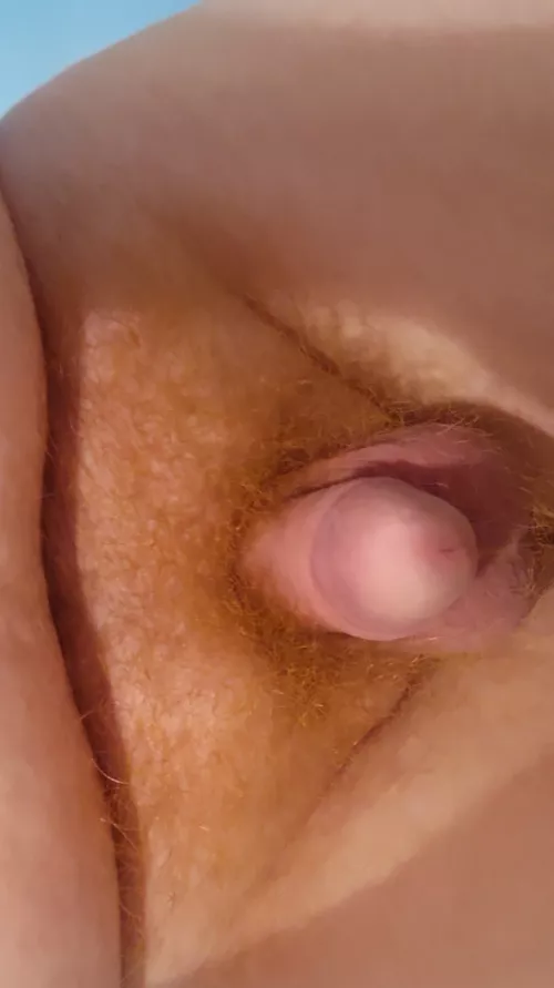 Is my bush hairy enough with my ginger pubes by Ok-Taro-4884