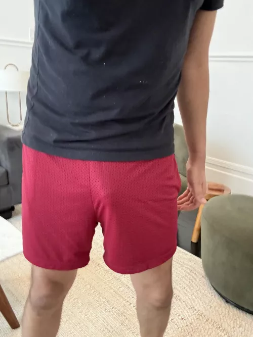 My comfiest pair of shorts but wonder if to revealing for going outside by Real-Tea-8483