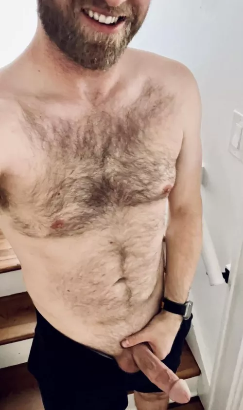 Old and busted by catmanforall