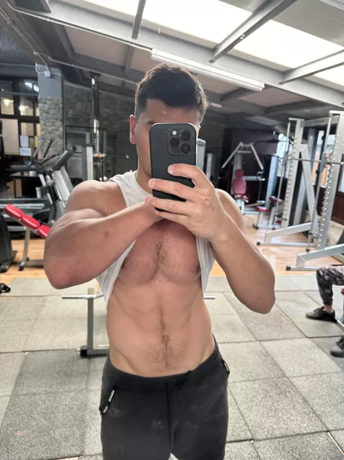 Spanish Chesthair  by Isiwak