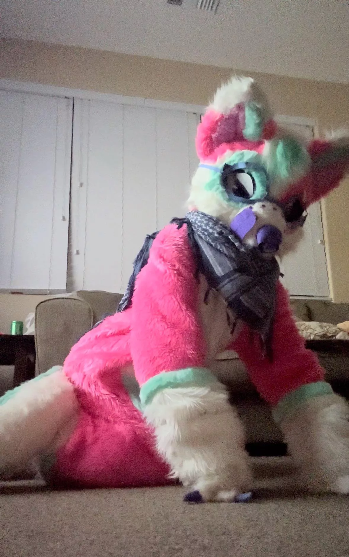 Want to watch some TV with this doggo? ✨ posted by Ancient_Summer_1833