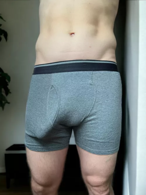 What do boxer briefs do at a party? They hang out and keep the vibe tight. by mcflyin69