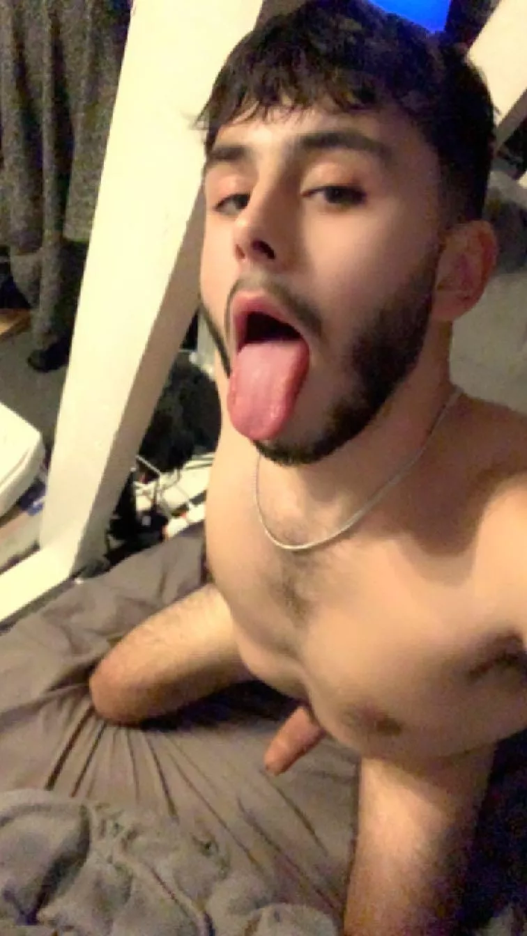 20 sub faggot looking for a dom daddy! bell.harry03 posted by Fun_Albatross_2982