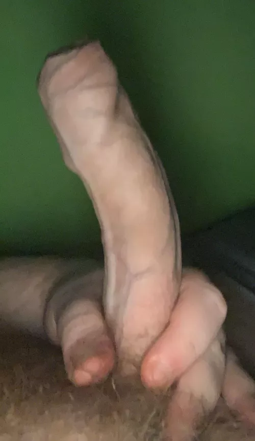 (20) Which one of you whores wanna submit your ass to me? by Accomplished_Day6102