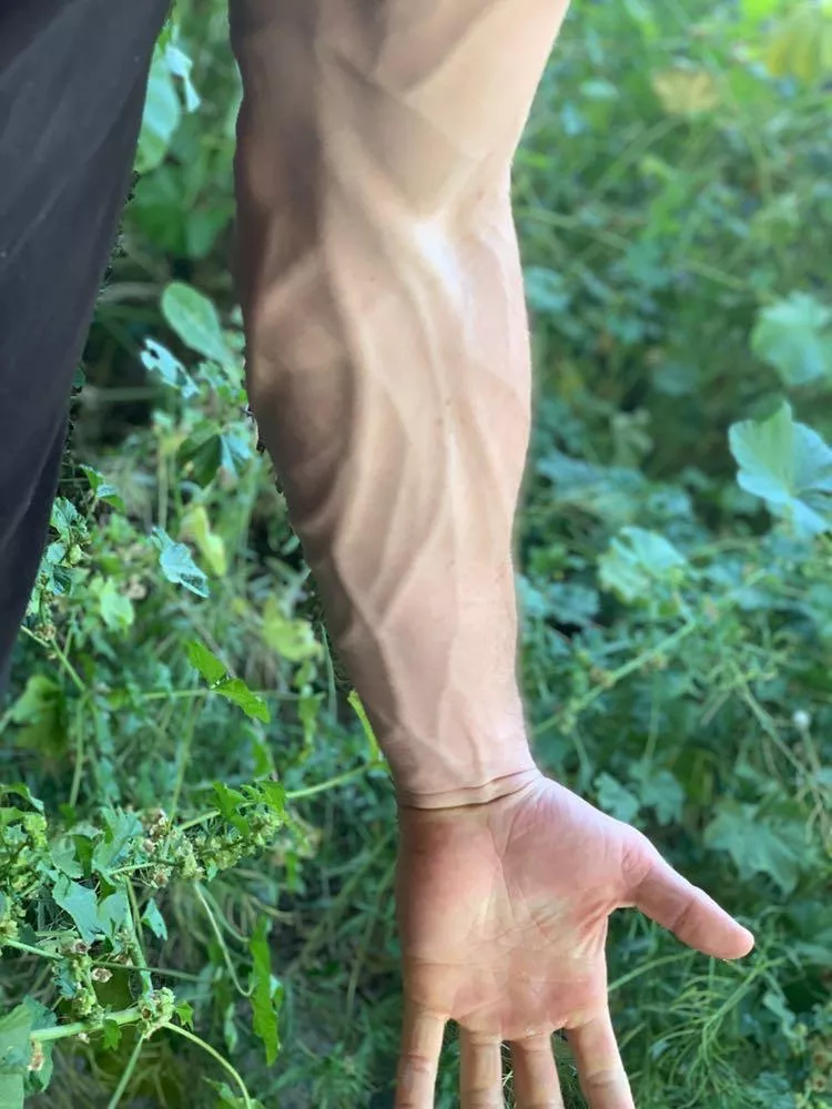 A couple years ago but it still counts posted by TrainSolid8700