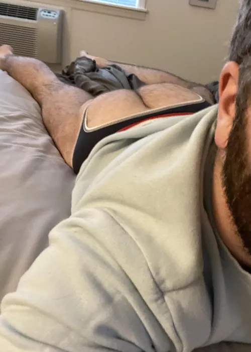 I feel like I’ve been in heat lately. Haven’t been topped in years and need a strong hairy guy to pin me down. by So-gay-throwaway