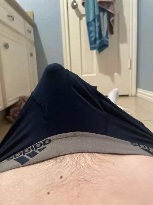 It got excited by Ok_Box5674